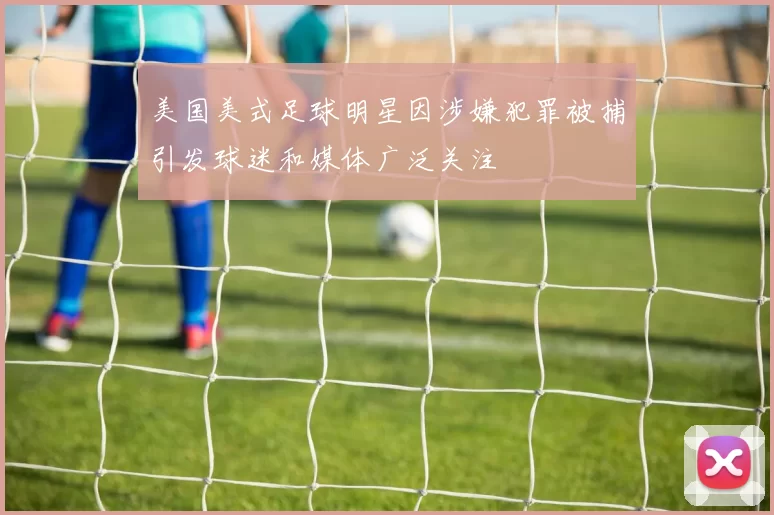 美国美式足球明星因涉嫌犯罪被捕引发球迷和媒体广泛关注