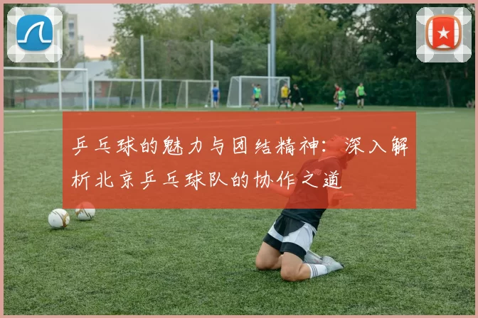 乒乓球的魅力与团结精神：深入解析北京乒乓球队的协作之道