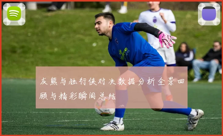灰熊与独行侠对决数据分析全景回顾与精彩瞬间总结