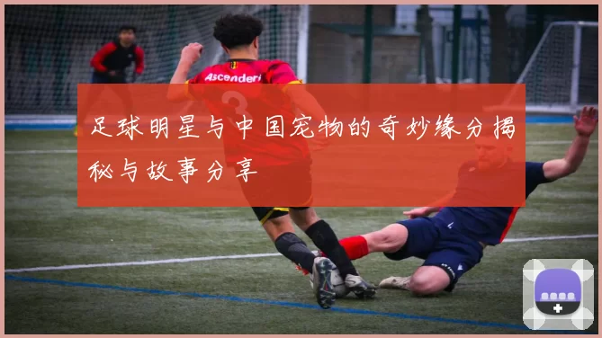 足球明星与中国宠物的奇妙缘分揭秘与故事分享
