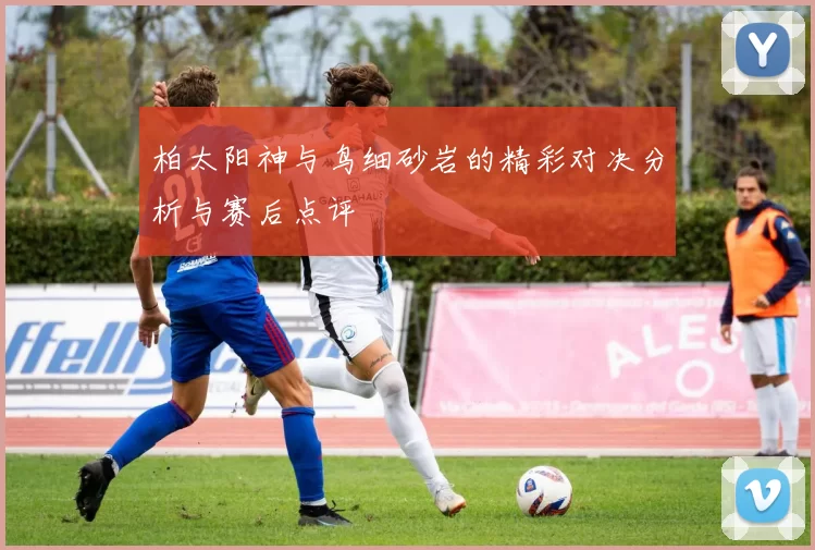 柏太阳神与鸟细砂岩的精彩对决分析与赛后点评
