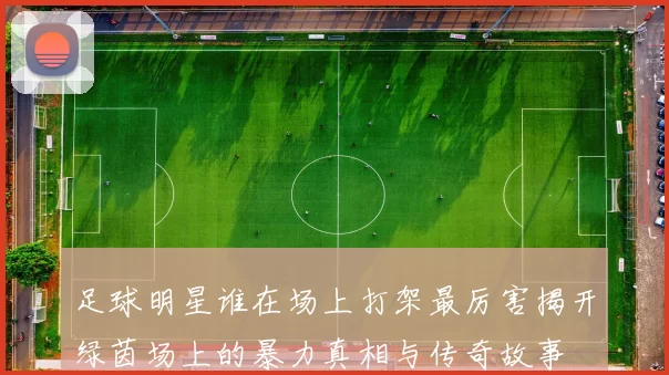 足球明星谁在场上打架最厉害揭开绿茵场上的暴力真相与传奇故事