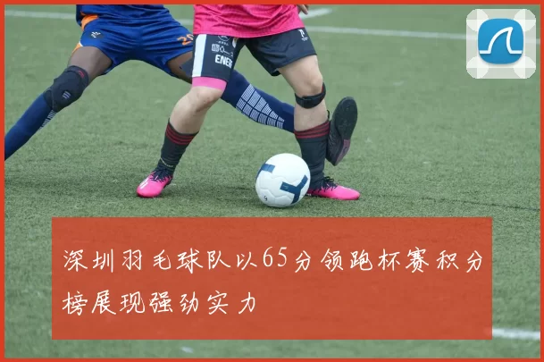 深圳羽毛球队以65分领跑杯赛积分榜展现强劲实力