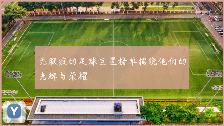 无瑕疵的足球巨星榜单揭晓他们的光辉与荣耀