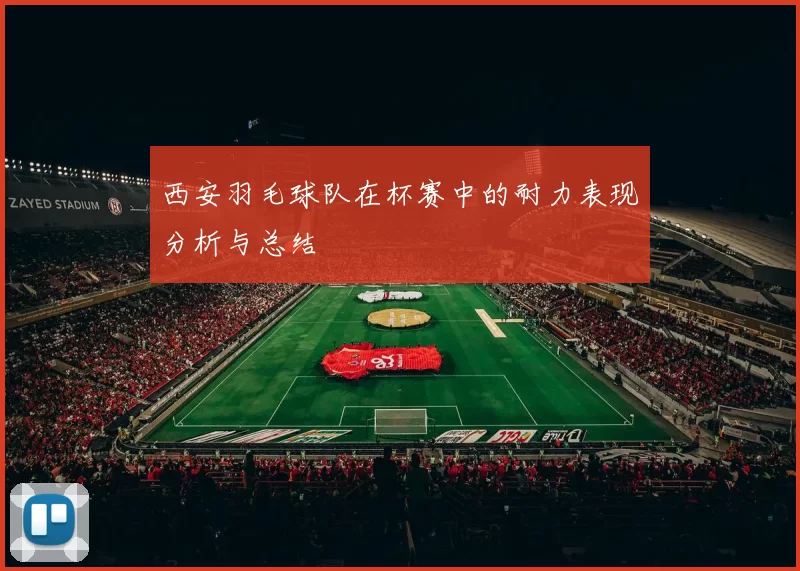 西安羽毛球队在杯赛中的耐力表现分析与总结