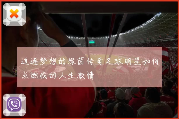 追逐梦想的绿茵传奇足球明星如何点燃我的人生激情