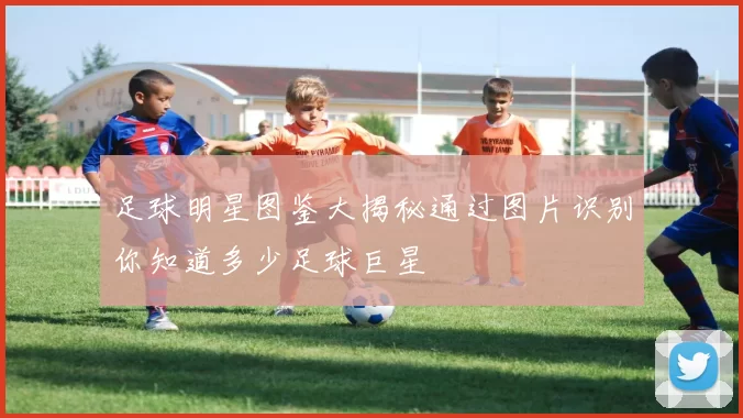 足球明星图鉴大揭秘通过图片识别你知道多少足球巨星