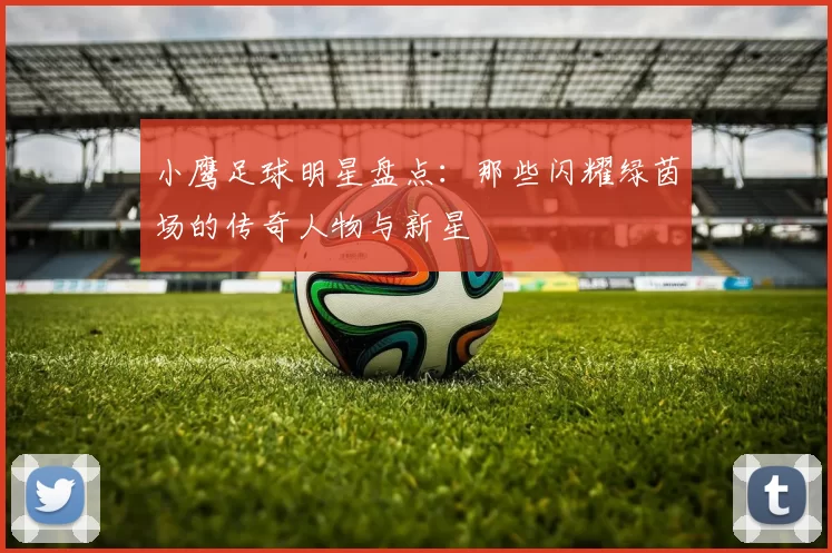 小鹰足球明星盘点：那些闪耀绿茵场的传奇人物与新星