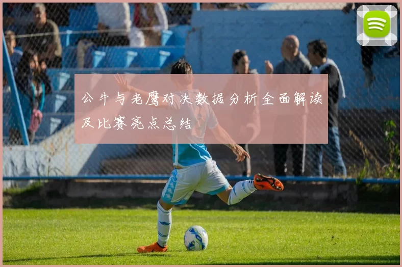 公牛与老鹰对决数据分析全面解读及比赛亮点总结