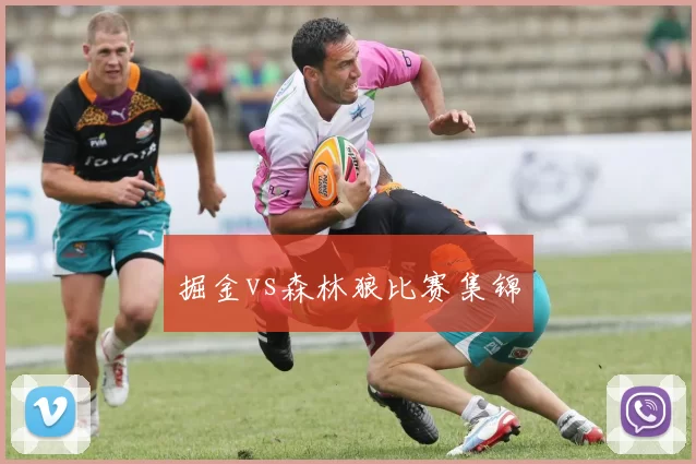 掘金vs森林狼比赛集锦