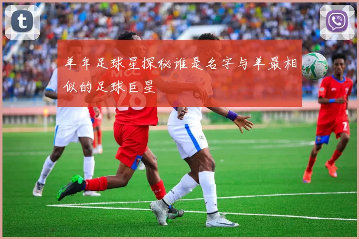 羊年足球星探秘谁是名字与羊最相似的足球巨星