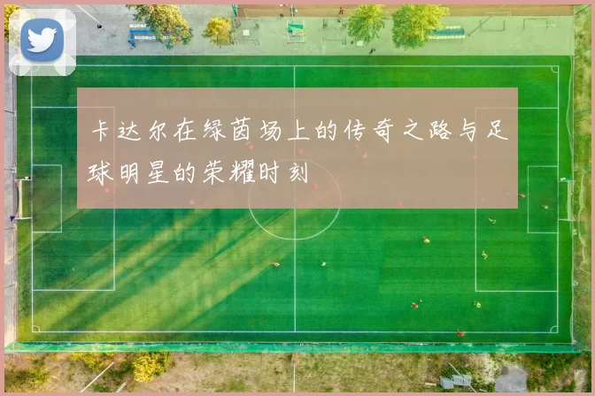 卡达尔在绿茵场上的传奇之路与足球明星的荣耀时刻